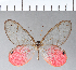  ( - CFC01350)  @11 [ ] Copyright (2018) Christer Fahraeus Center For Collection-Based Research