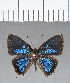  ( - CFC13536)  @11 [ ] Copyright (2018) Christer Fahraeus Center For Collection-Based Research