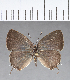  ( - CFC13712)  @13 [ ] Copyright (2018) Christer Fahraeus Center For Collection-Based Research