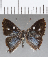  ( - CFC13774)  @11 [ ] Copyright (2019) Christer Fahraeus Center For Collection-Based Research