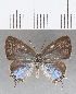  ( - CFC13808)  @11 [ ] Copyright (2019) Christer Fahraeus Center For Collection-Based Research