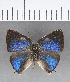  ( - CFC13820_2)  @11 [ ] Copyright (2019) Christer Fahraeus Center For Collection-Based Research