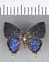  ( - CFC13847_2)  @11 [ ] Copyright (2019) Christer Fahraeus Center For Collection-Based Research