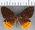  ( - CFC13880)  @11 [ ] Copyright (2019) Christer Fahraeus Center For Collection-Based Research