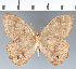  ( - CFC13891)  @11 [ ] copyright (2022) Center For Collection-Based Research Center For Collection-Based Research