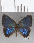  ( - CFC13907)  @11 [ ] Copyright (2019) Christer Fahraeus Center For Collection-Based Research