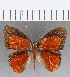  ( - CFC13909)  @11 [ ] Copyright (2019) Christer Fahraeus Center For Collection-Based Research