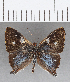  ( - CFC13931)  @11 [ ] Copyright (2019) Christer Fahraeus Center For Collection-Based Research