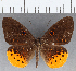  ( - CFC14055)  @11 [ ] Copyright (2019) Christer Fahraeus Center For Collection-Based Research