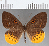  ( - CFC14080)  @11 [ ] Copyright (2019) Christer Fahraeus Center For Collection-Based Research