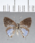  ( - CFC14103)  @11 [ ] Copyright (2018) Christer Fahraeus Center For Collection-Based Research