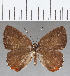  ( - CFC14119)  @11 [ ] Copyright (2019) Christer Fahraeus Center For Collection-Based Research