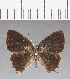  ( - CFC14137)  @11 [ ] Copyright (2018) Christer Fahraeus Center For Collection-Based Research