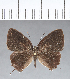  ( - CFC14141)  @11 [ ] Copyright (2018) Christer Fahraeus Center For Collection-Based Research