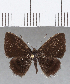  ( - CFC14202)  @11 [ ] Copyright (2019) Christer Fahraeus Center For Collection-Based Research