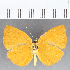  ( - CFC14210)  @11 [ ] Copyright (2019) Christer Fahraeus Center For Collection-Based Research