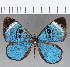  ( - CFC14267)  @11 [ ] Copyright (2019) Christer Fahraeus Center For Collection-Based Research
