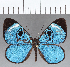  ( - CFC14275)  @11 [ ] Copyright (2019) Christer Fahraeus Center For Collection-Based Research