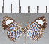  ( - CFC14321)  @11 [ ] Copyright (2019) Christer Fahraeus Center For Collection-Based Research