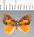  ( - CFC14324)  @11 [ ] copyright (2022) Center For Collection-Based Research Center For Collection-Based Research