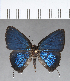  ( - CFC14331)  @11 [ ] Copyright (2018) Christer Fahraeus Center For Collection-Based Research