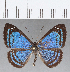  ( - CFC14345)  @11 [ ] Copyright (2019) Christer Fahraeus Center For Collection-Based Research