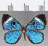  ( - CFC14351)  @11 [ ] Copyright (2019) Christer Fahraeus Center For Collection-Based Research