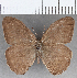  ( - CFC14648)  @11 [ ] copyright (2020) Christer Fahraeus Center For Collection-Based Research