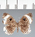  ( - CFC14811)  @11 [ ] copyright (2022) Center For Collection-Based Research Center For Collection-Based Research