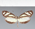  ( - CFC14820)  @11 [ ] copyright (2023) Center For Collection-Based Research Center For Collection-Based Research