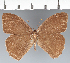  ( - CFC14883)  @11 [ ] copyright (2022) Center For Collection-Based Research Center For Collection-Based Research