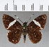  ( - CFC14957)  @11 [ ] Copyright (2018) Christer Fahraeus Center For Collection-Based Research