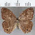  ( - CFC14983)  @11 [ ] copyright (2020) Christer Fahraeus Center For Collection-Based Research