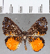  ( - CFC15028)  @11 [ ] Copyright (2019) Christer Fahraeus Center For Collection-Based Research