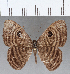  ( - CFC15041)  @11 [ ] Copyright (2019) Christer Fahraeus Center For Collection-Based Research