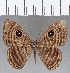  ( - CFC15045)  @11 [ ] Copyright (2019) Christer Fahraeus Center For Collection-Based Research