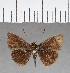  ( - CFC15527)  @13 [ ] Copyright (2018) Christer Fahraeus Center For Collection-Based Research