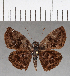  ( - CFC15543)  @14 [ ] Copyright (2018) Christer Fahraeus Center For Collection-Based Research