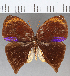  ( - CFC15557)  @13 [ ] Copyright (2019) Christer Fahraeus Center For Collection-Based Research