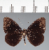  ( - CFC15624)  @11 [ ] copyright (2022) Center For Collection-Based Research Center For Collection-Based Research