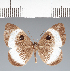  ( - CFC15625)  @11 [ ] copyright (2022) Center For Collection-Based Research Center For Collection-Based Research