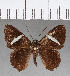  ( - CFC15674)  @13 [ ] Copyright (2018) Christer Fahraeus Center For Collection-Based Research