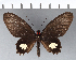  ( - CFC01570)  @11 [ ] Copyright (2018) Christer Fahraeus Center For Collection-Based Research