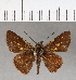  ( - CFC15725_2)  @11 [ ] Copyright (2019) Christer Fahraeus Center For Collection-Based Research