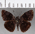  ( - CFC15732)  @11 [ ] Copyright (2019) Christer Fahraeus Center For Collection-Based Research