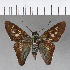  ( - CFC15763)  @12 [ ] Copyright (2018) Christer Fahraeus Center For Collection-Based Research
