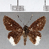  ( - CFC15764)  @11 [ ] Copyright (2018) Christer Fahraeus Center For Collection-Based Research