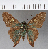  ( - CFC15768)  @11 [ ] Copyright (2018) Christer Fahraeus Center For Collection-Based Research