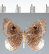  ( - CFC15811)  @11 [ ] copyright (2022) Center For Collection-Based Research Center For Collection-Based Research