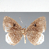  ( - CFC15813)  @11 [ ] copyright (2022) Center For Collection-Based Research Center For Collection-Based Research